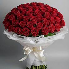 Букет 101 Красная роза Блэк Мэджик в Полевой