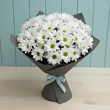 Букет цветов из:  Хризантемы в Полевой