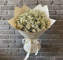 Букет цветов из:  Ромашки в Полевой