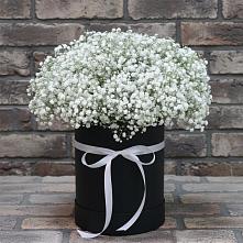 Цветочная композиция из Гипсофила в шляпной коробке #REPLACE_PRED# Полевой